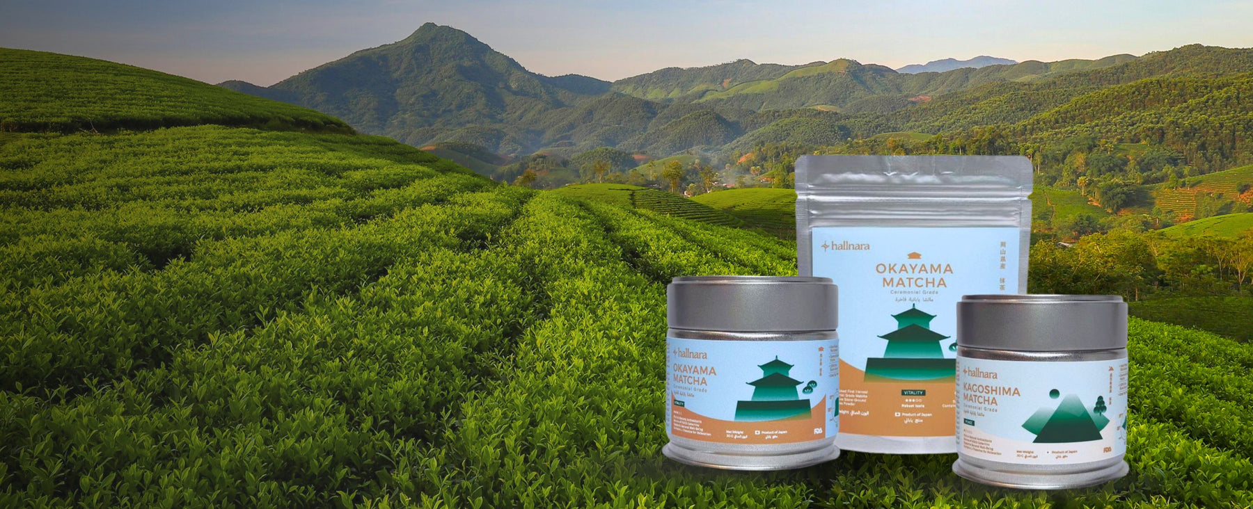 Japan's Finest Ceremonial Matcha — Delivered to Your Door