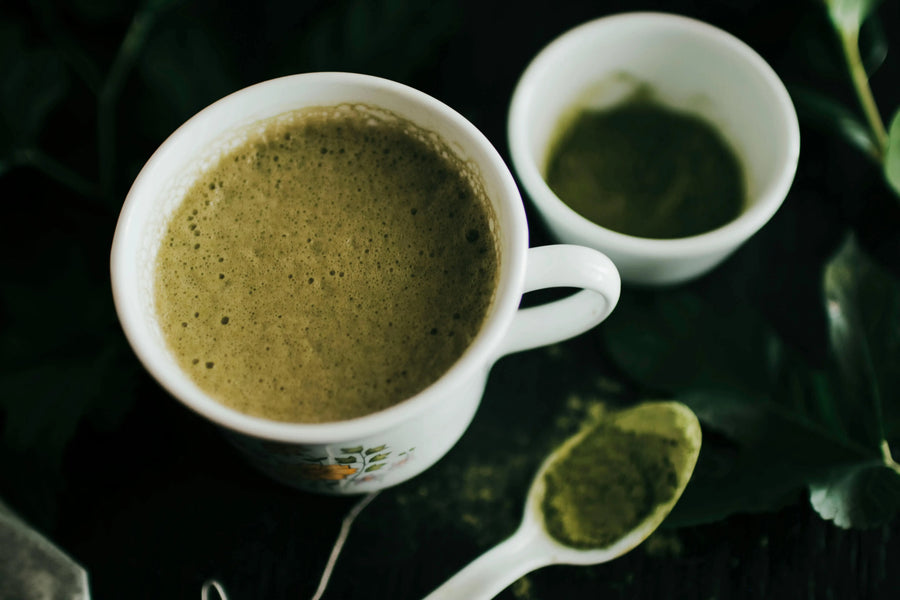Premium Ceremonial Matcha Wholesale & B2B Supply in the UAE