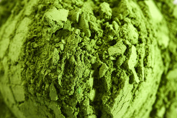 Matcha Wholesale Supplier in the UAE