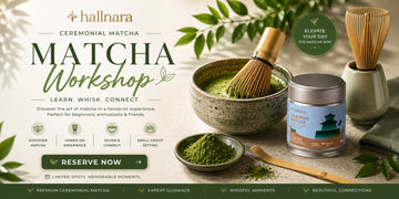 Inside the Hallnara Ceremonial Matcha Workshop Experience