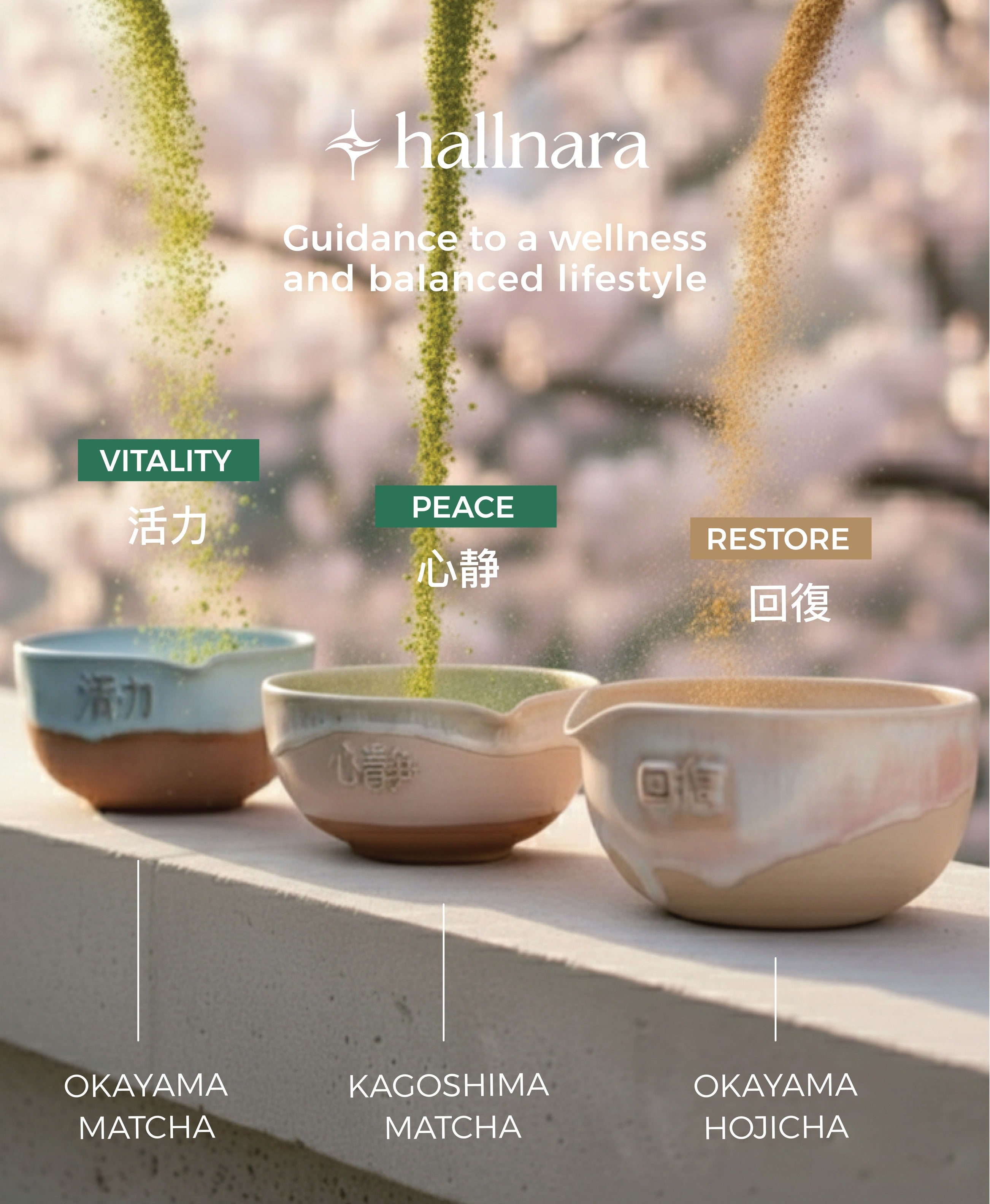 مسحوق هوجيتشا المحمص الاحتفالي من كاغوشيما - 50 جرام كيس منخفض الكافيين