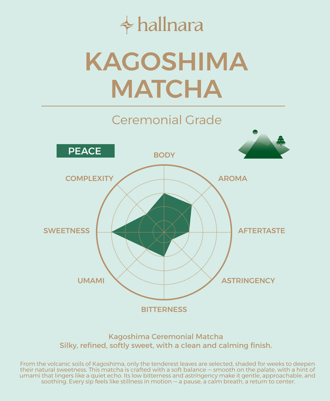 مسحوق الشاي الأخضر ماتشا الاحتفالي الياباني من كاغوشيما - كيس 100 جرام