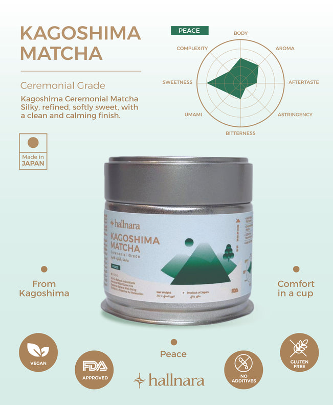 مسحوق الشاي الأخضر ماتشا الاحتفالي الياباني من كاغوشيما - علبة محكمة الإغلاق 30 جرام