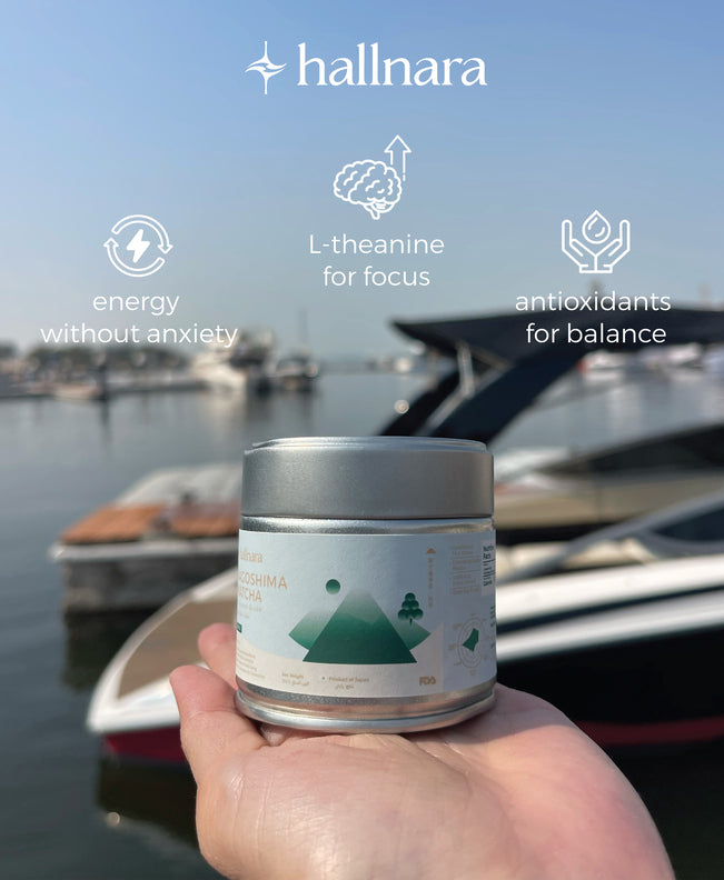 مسحوق الشاي الأخضر ماتشا الاحتفالي الياباني من كاغوشيما - علبة محكمة الإغلاق 30 جرام